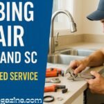 plumbing repair Daniel Island SC